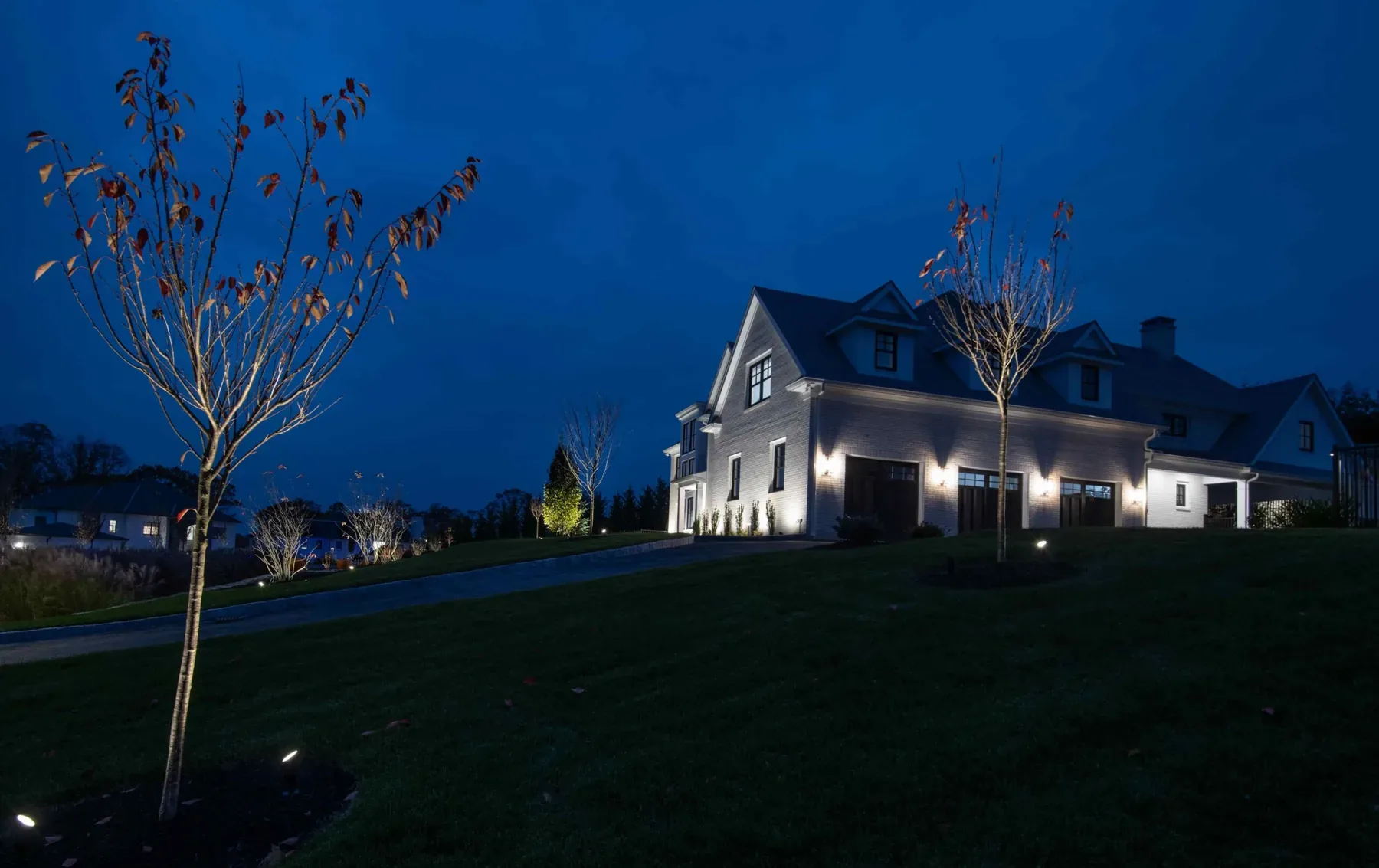 Young tree and pale house illuminated above a sloping lawn at night.