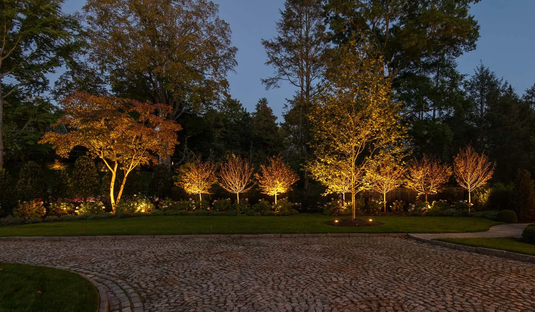 Warmly illuminated trees and shrubs beside a cobblestone driveway.