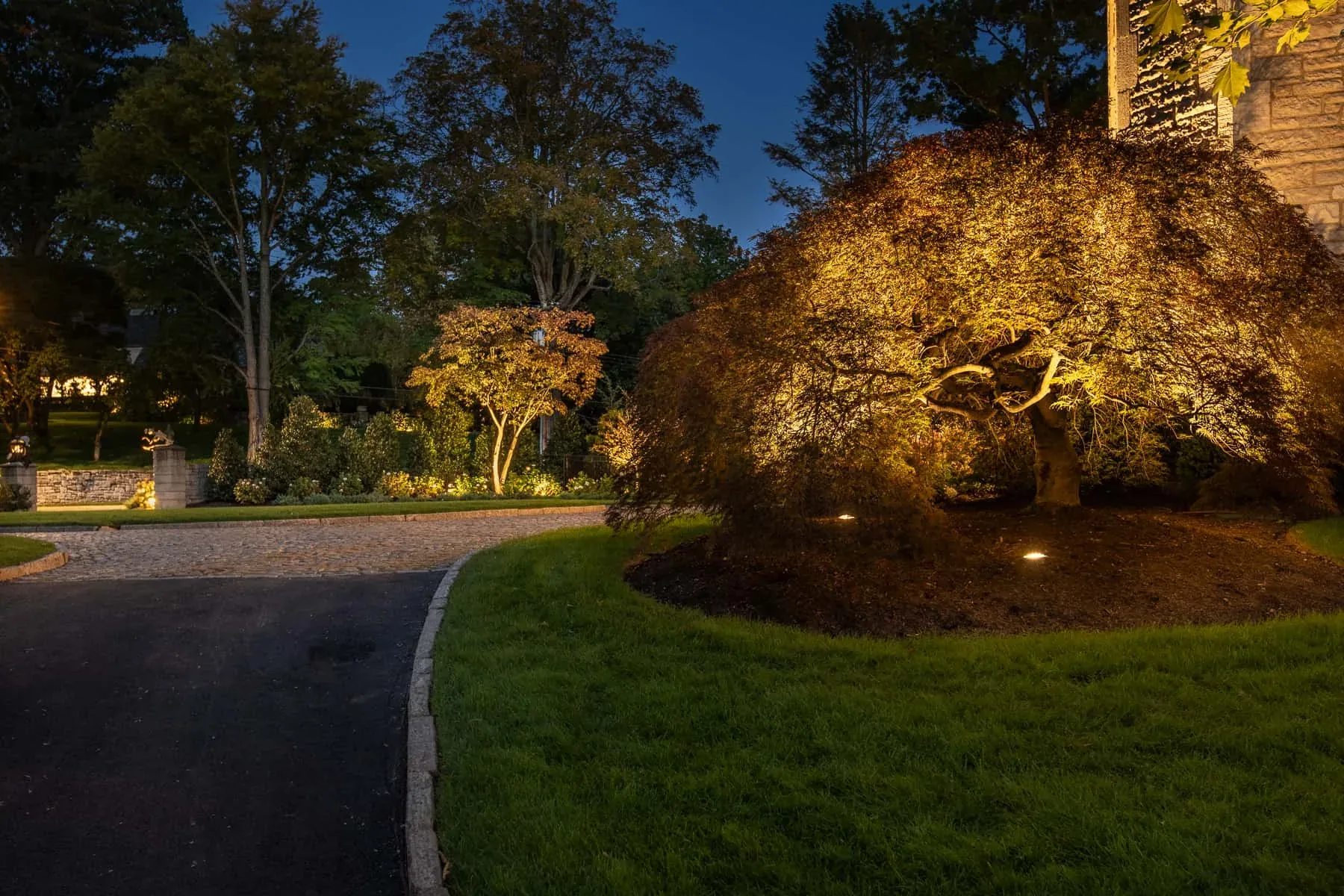 Illuminated ornamental tree beside a curved driveway and stone house.