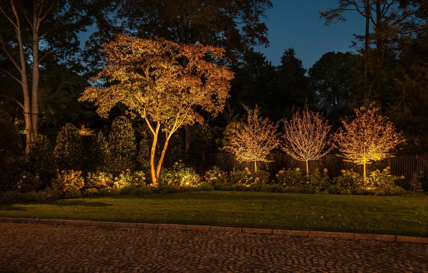 Warmly illuminated trees and shrubs beside a cobblestone driveway.