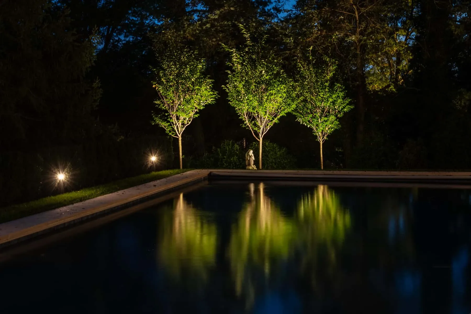 Three illuminated trees reflected in a dark swimming pool.