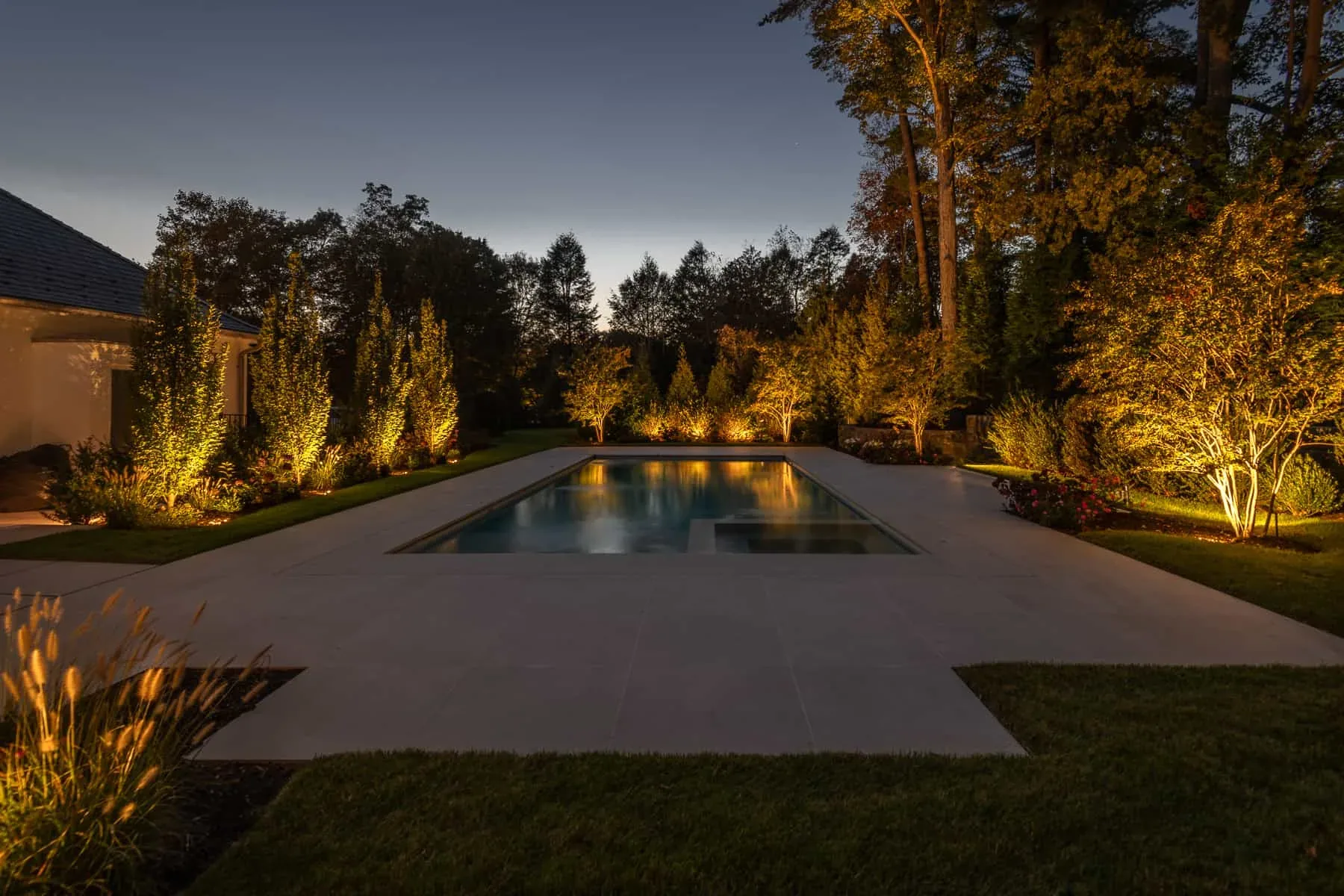 Trees lit along the far edge of a dark swimming pool and patio.