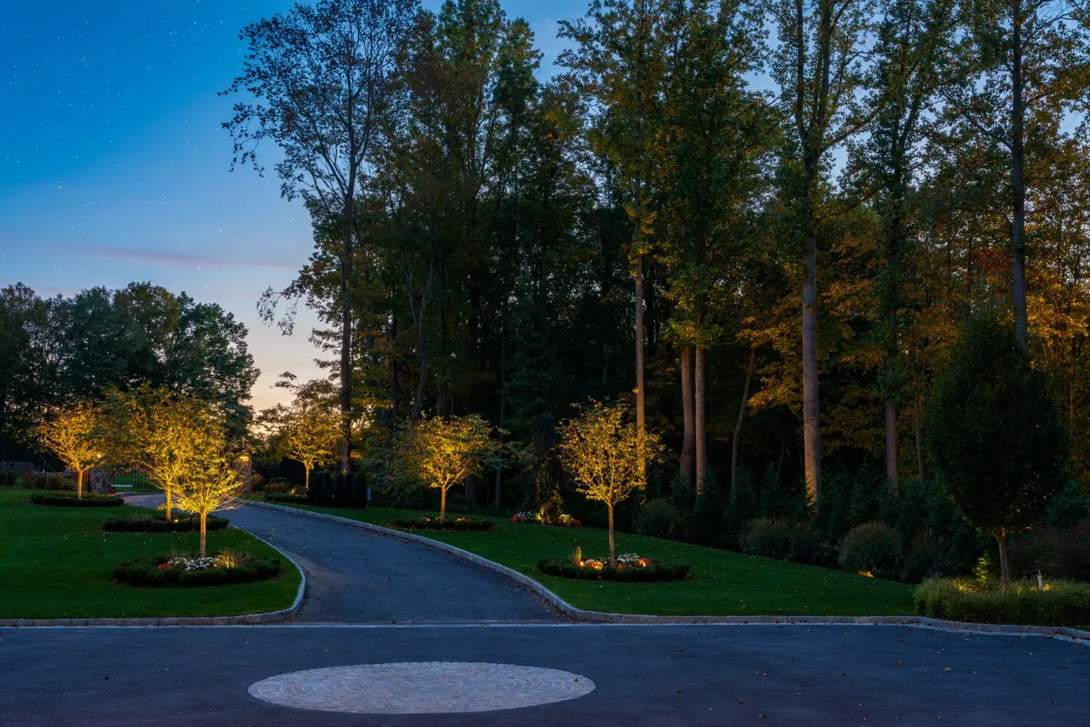 Uplit trees lining a curved driveway at dusk.