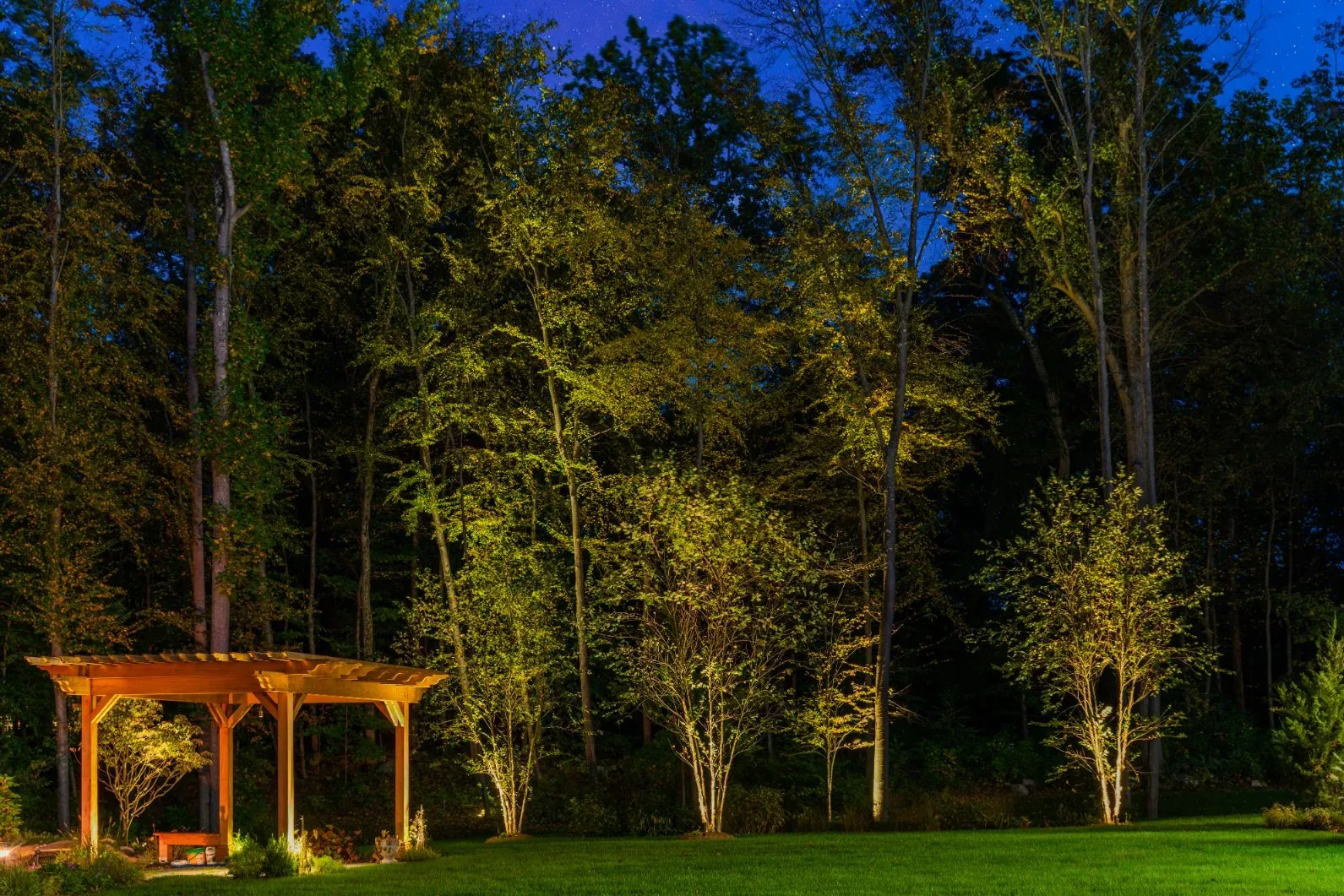 Illuminated wooden pergola and tall trees at the edge of a lawn.
