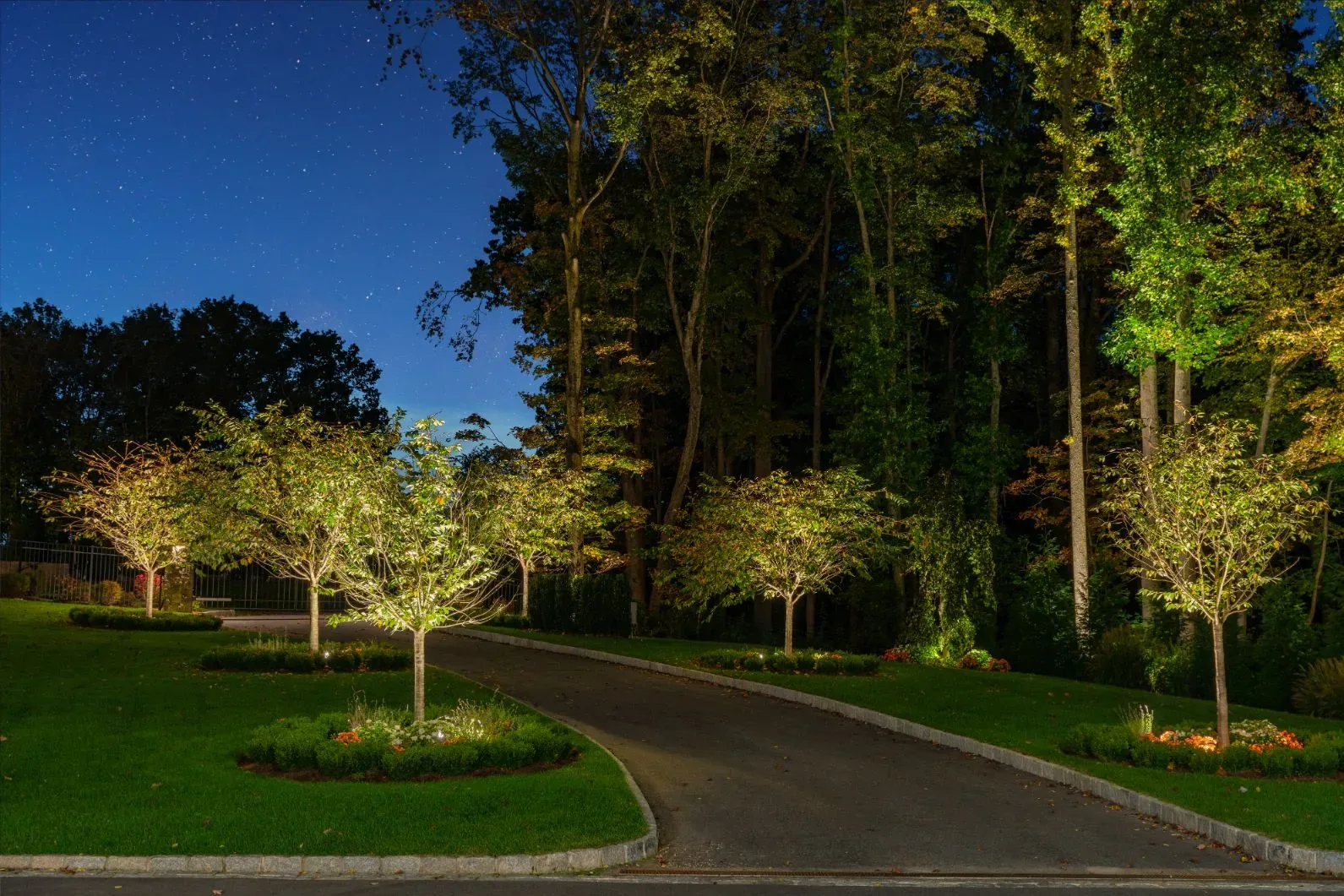 Trees illuminated along a sweeping driveway beneath the night sky.