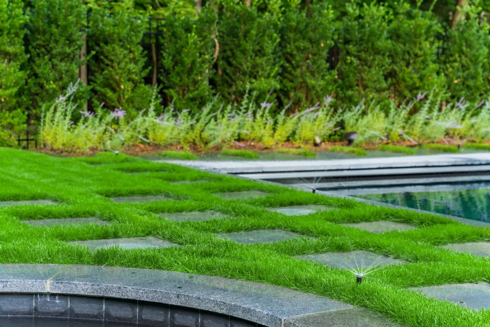Grass and stepping stones bordering a swimming pool in daylight.
