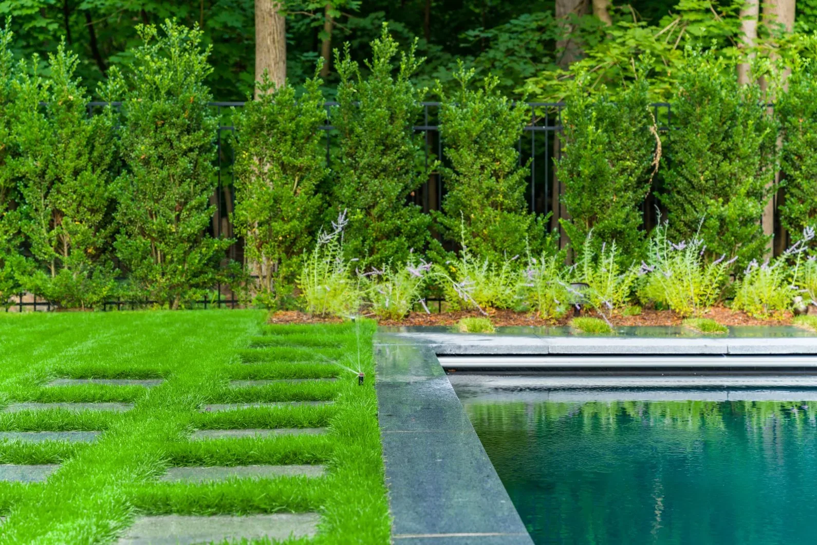 Grass and stepping stones bordering a swimming pool in daylight.