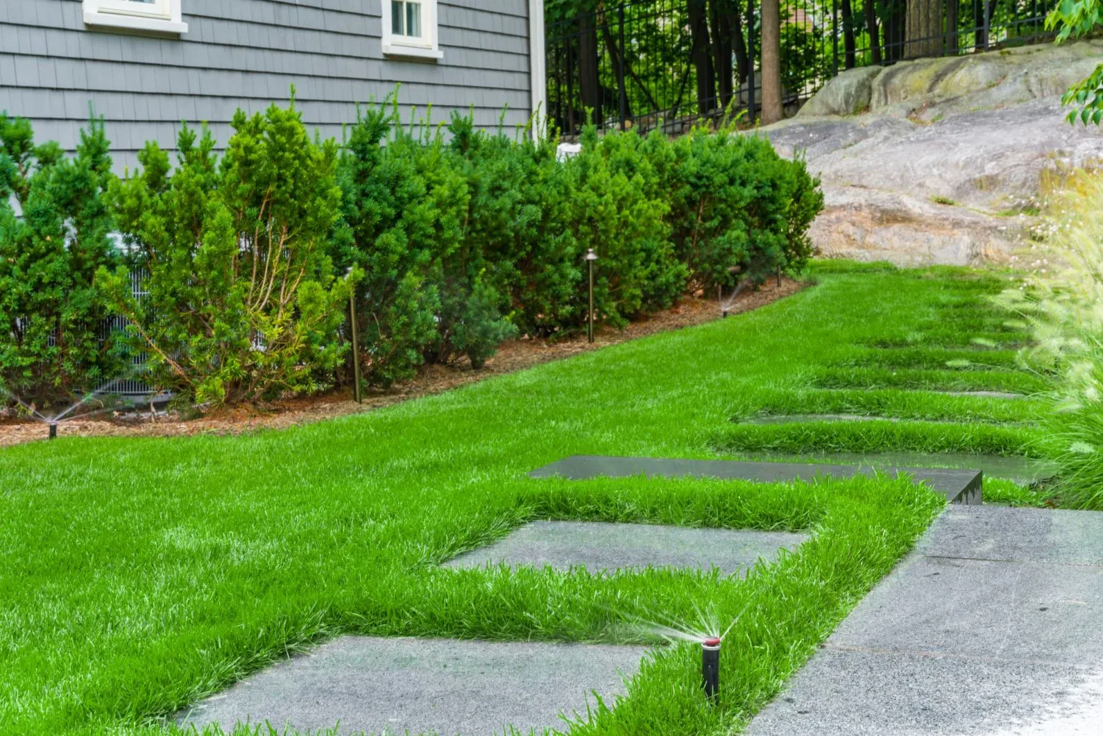 Sprinklers watering a narrow lawn and stepping stones beside a hedge.