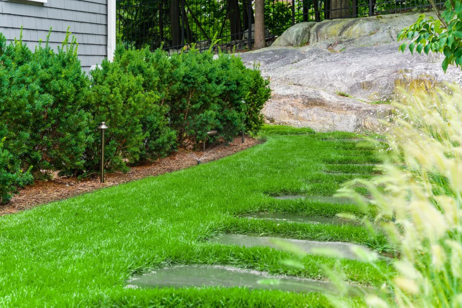 Sprinklers watering a narrow lawn and stepping stones beside a hedge.