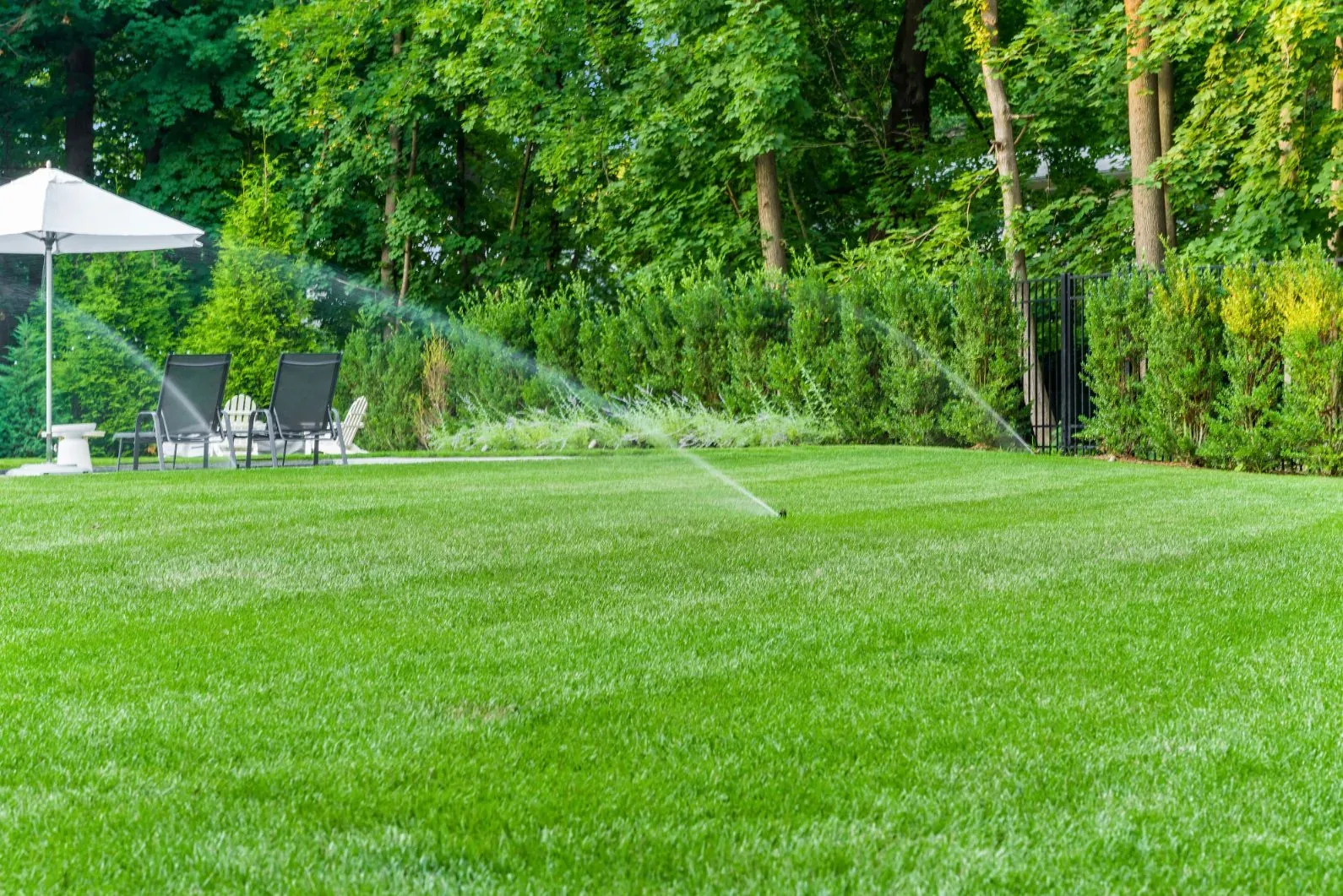 Sprinklers watering a backyard lawn beside a house and planted border.
