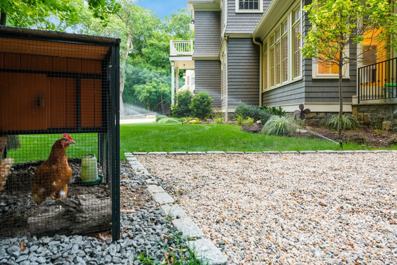 Chicken enclosure beside a gravel area and a house in daylight.
