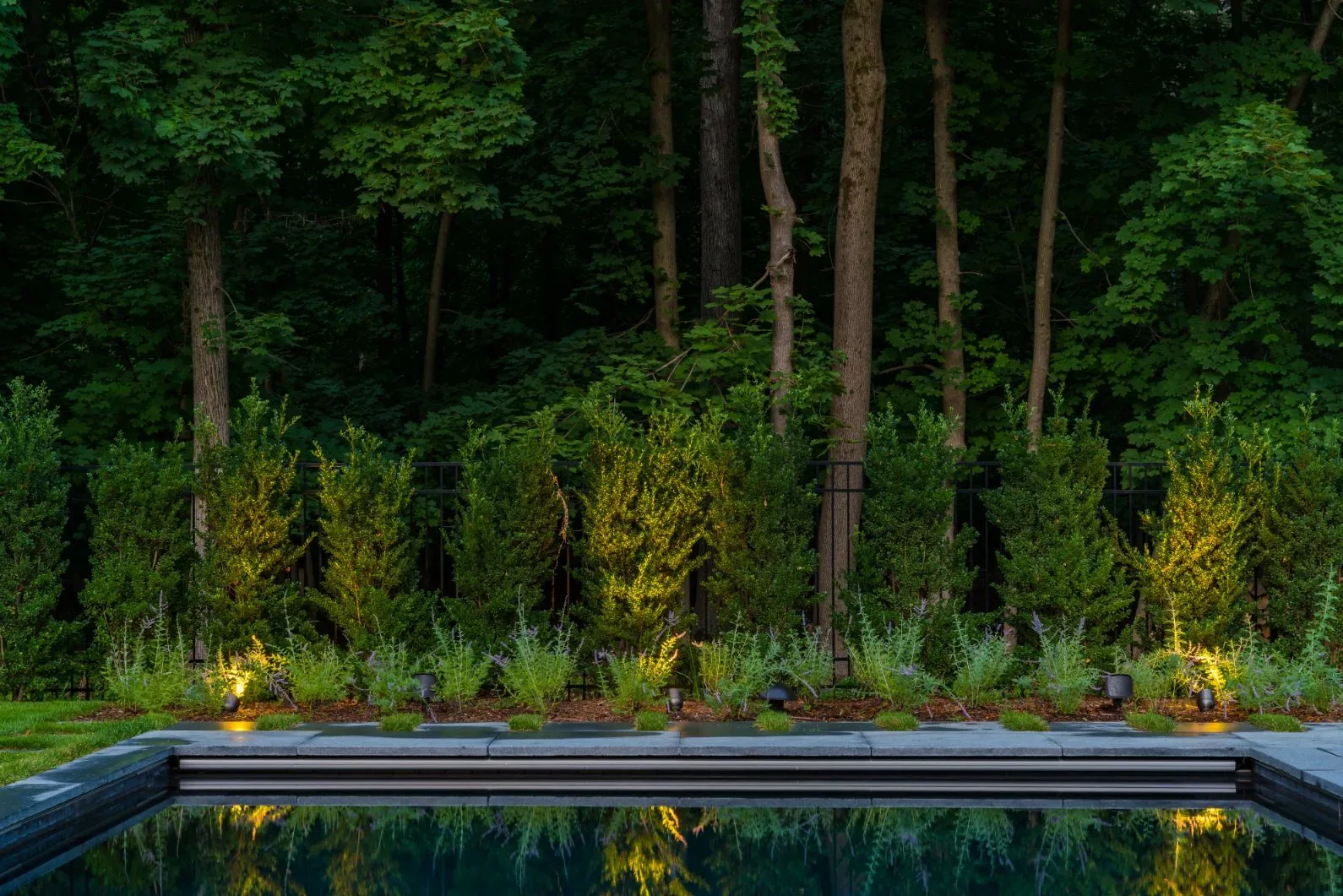 Trees and shrubs illuminated along the far edge of a swimming pool.