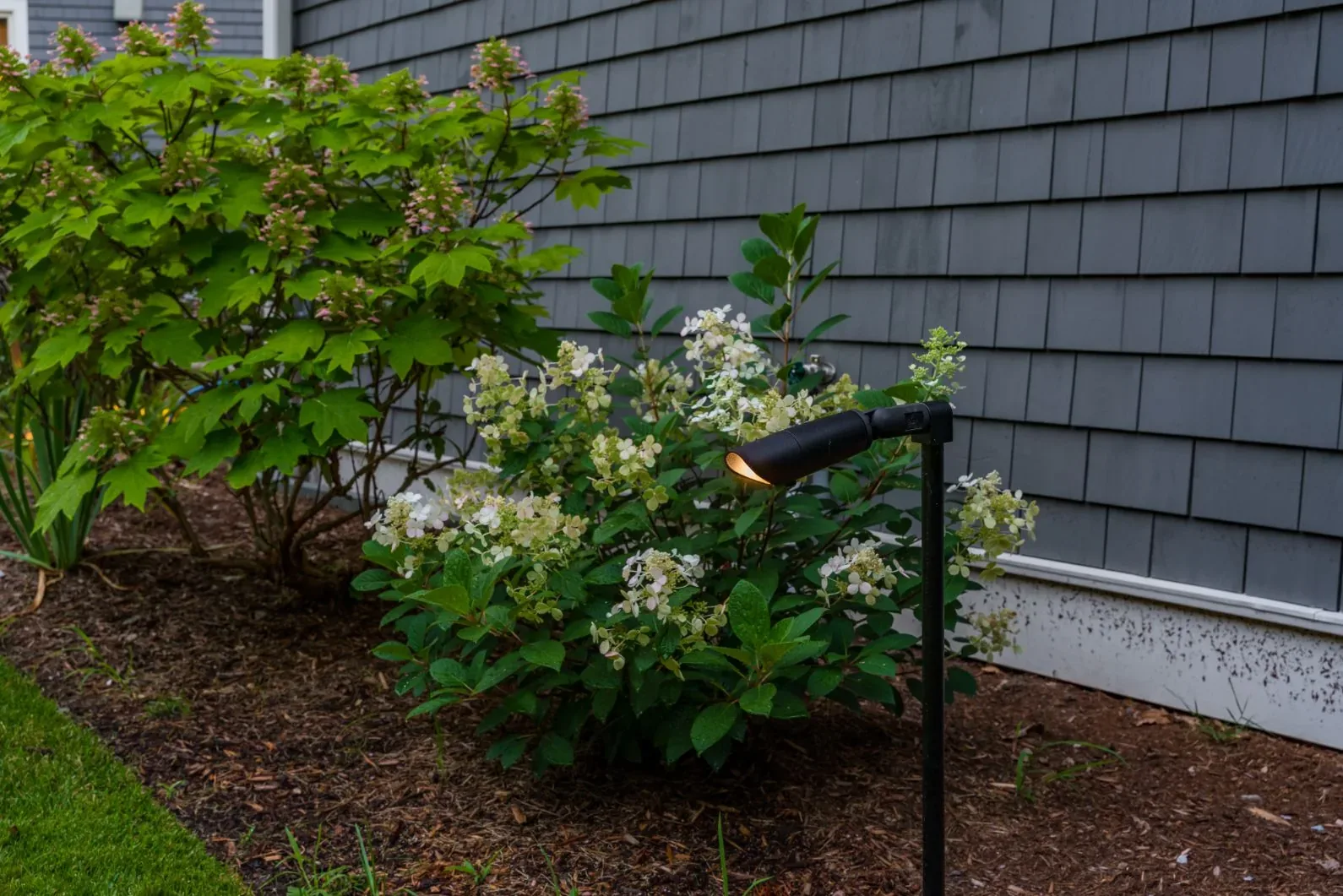 Path light beside flowering shrubs and gray house siding.