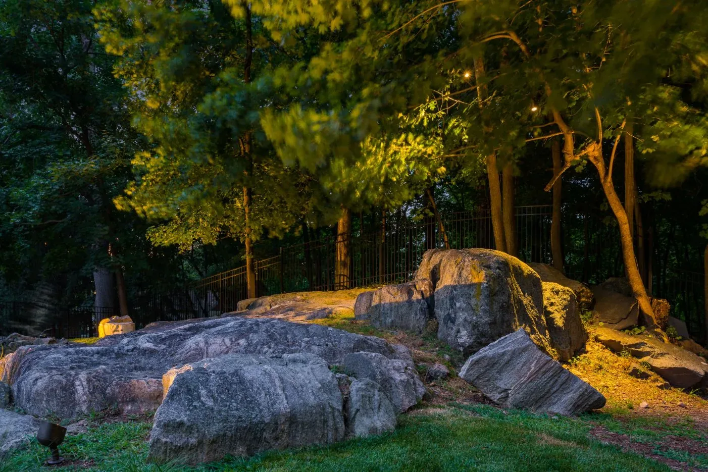 Natural boulders and trees illuminated in a garden at night.