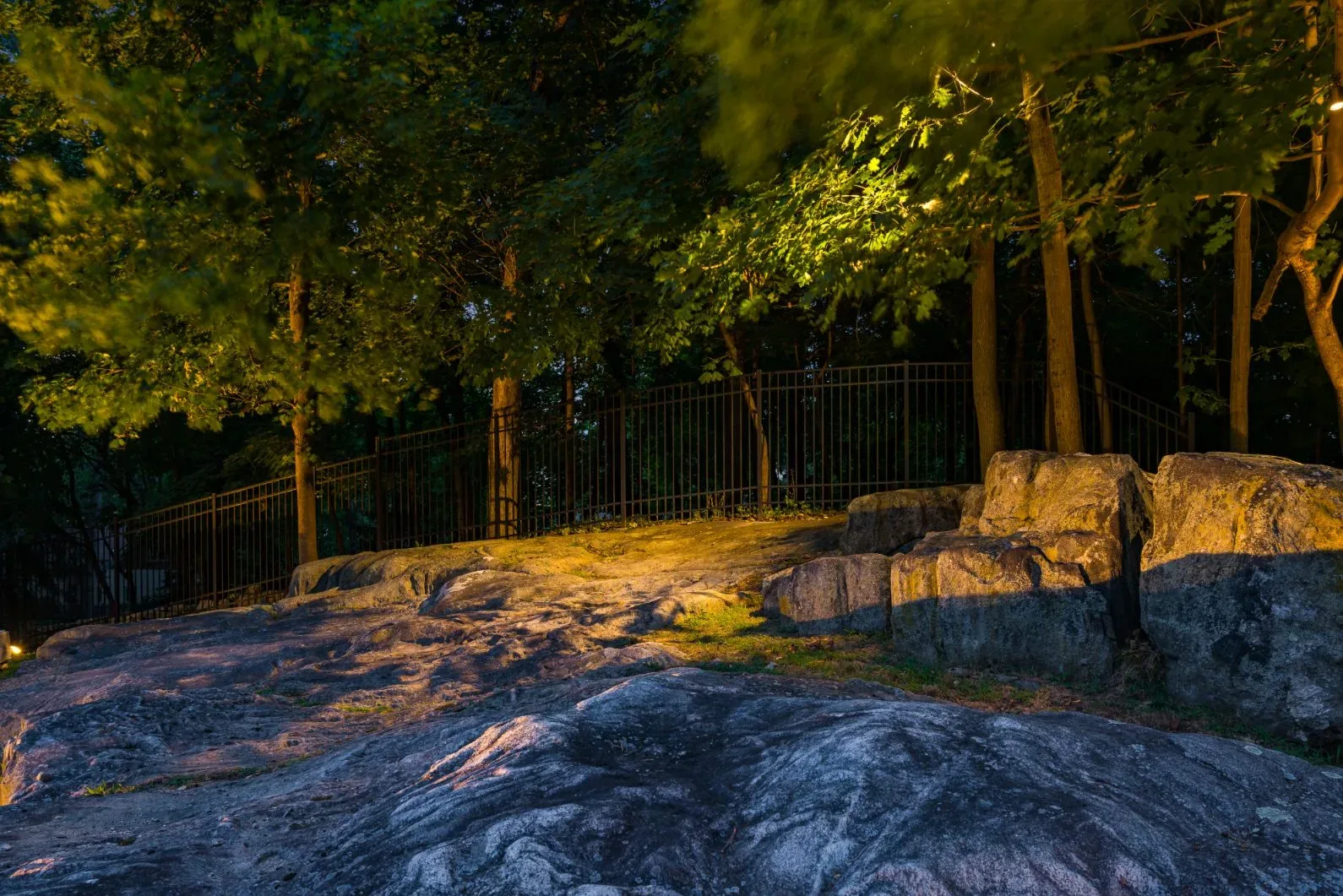 Lighting across a broad rock outcrop beneath trees at night.