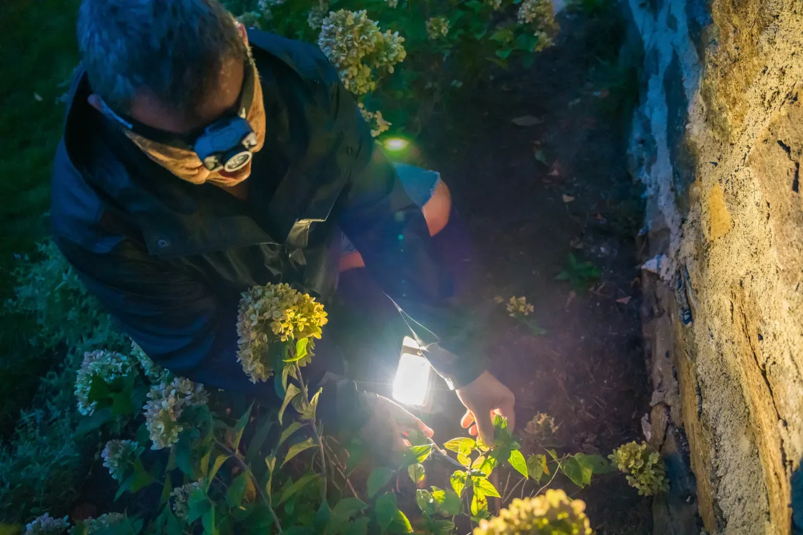 A worker tending a landscape light beside a stone wall after dark.
