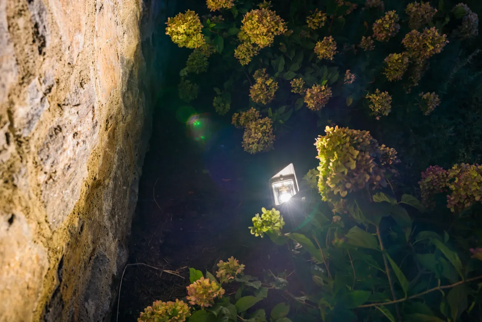 Upward-facing landscape light among flowering shrubs beside a stone wall.