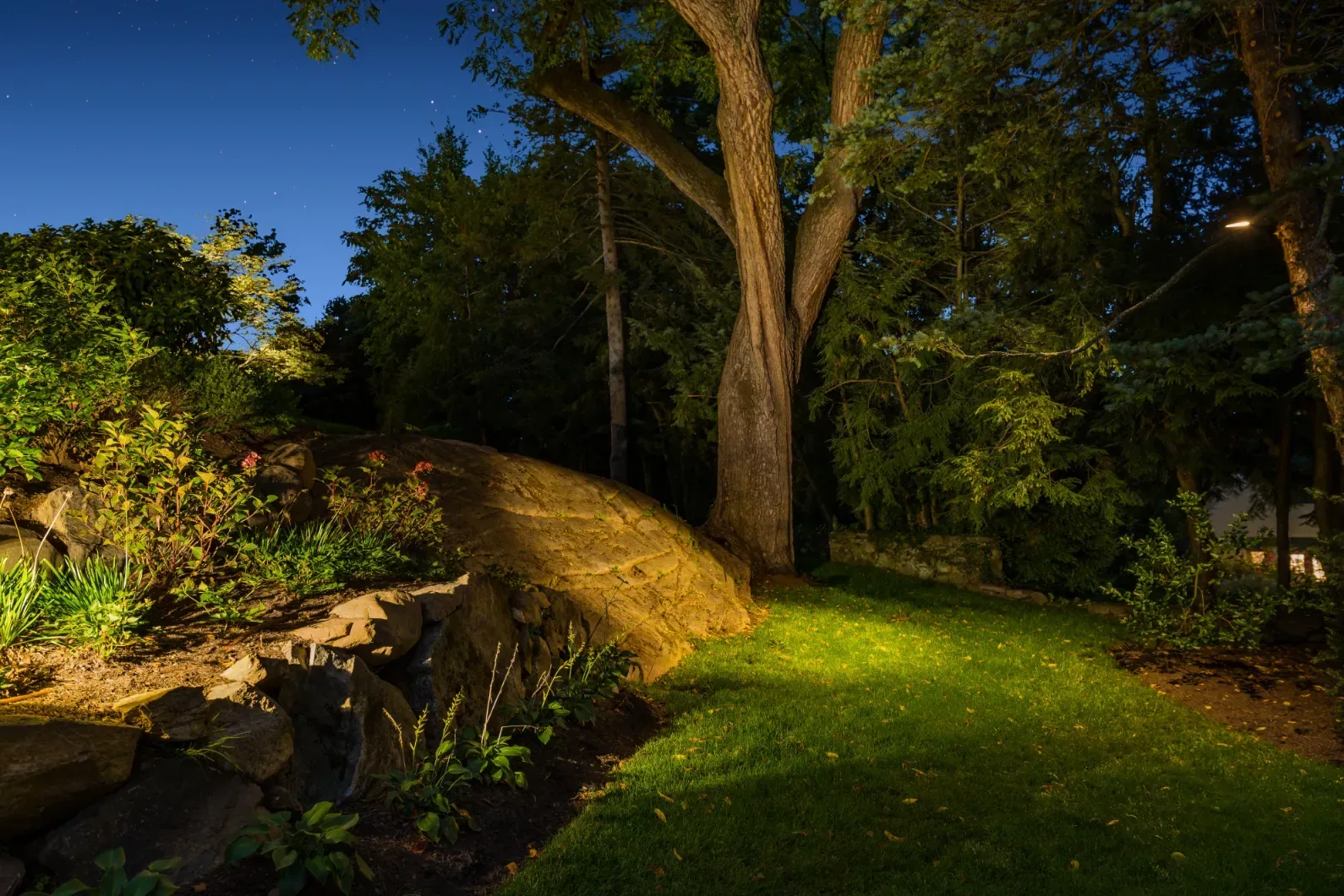 Tree and large boulder illuminated beside a garden path at night.