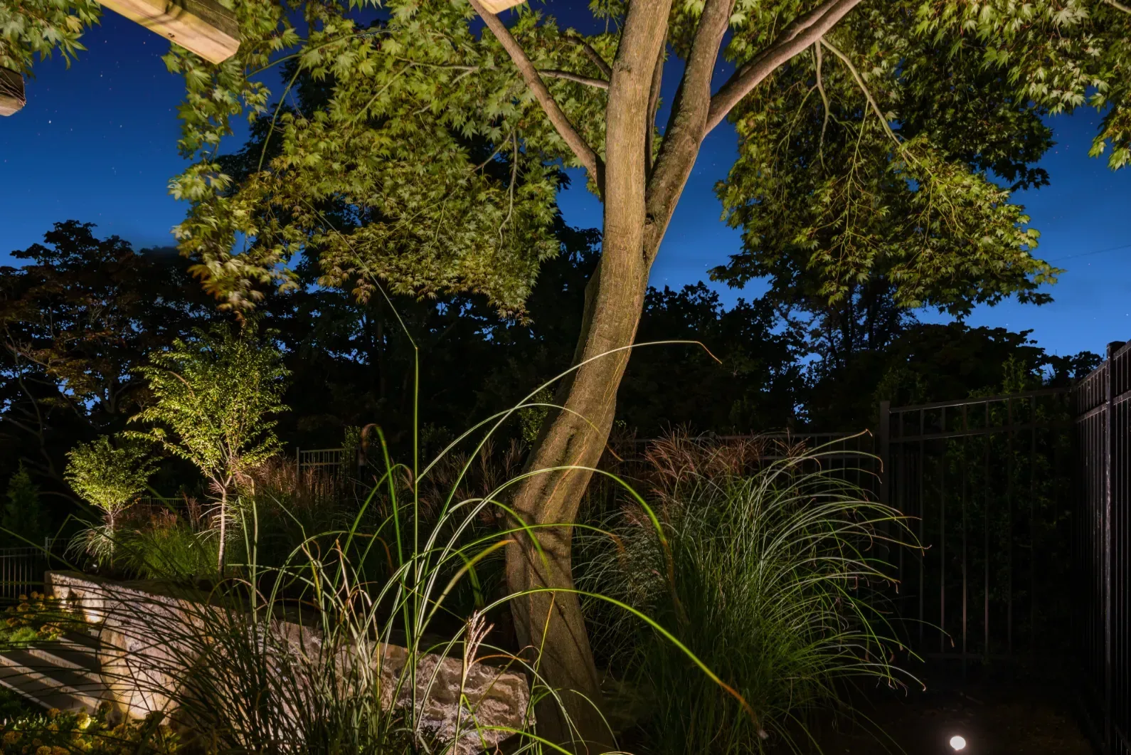 Lighting on a tree trunk and ornamental grasses beside a stone wall.