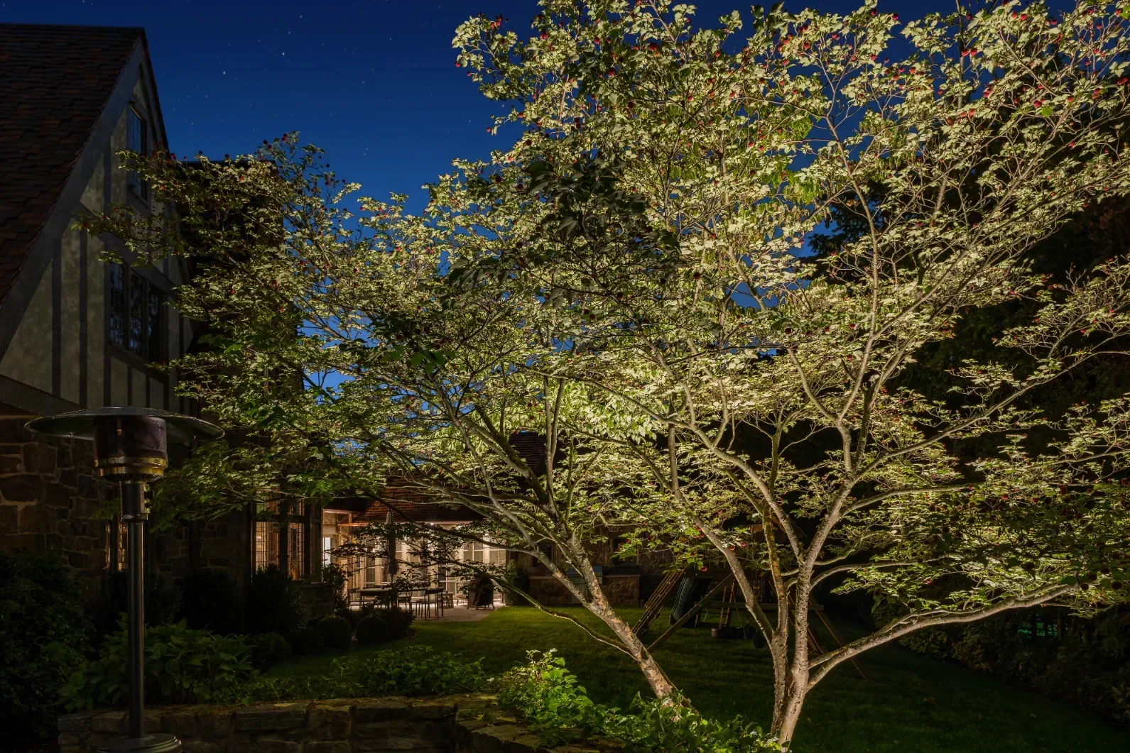 Branches of a spreading tree illuminated in front of a house at night.