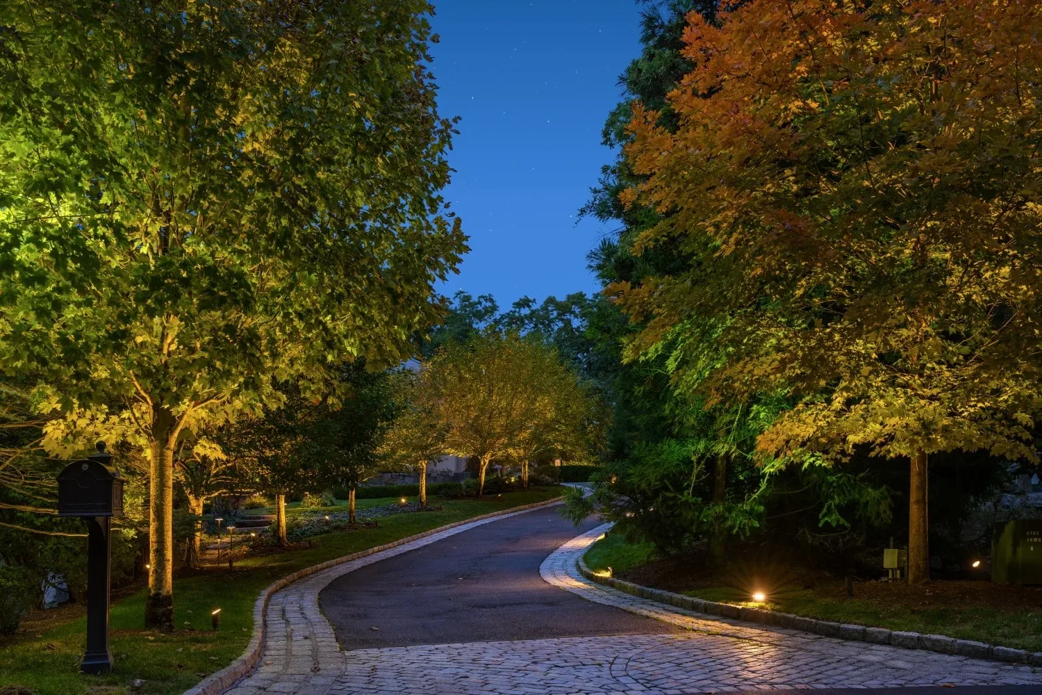 Curving driveway bordered by softly illuminated trees at dusk.