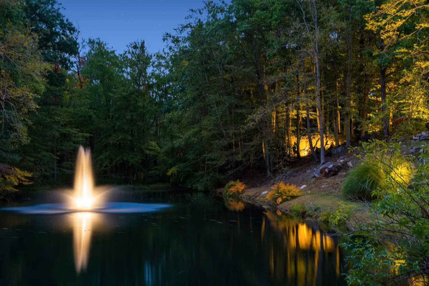 Illuminated fountain reflected in a garden pond after dark.