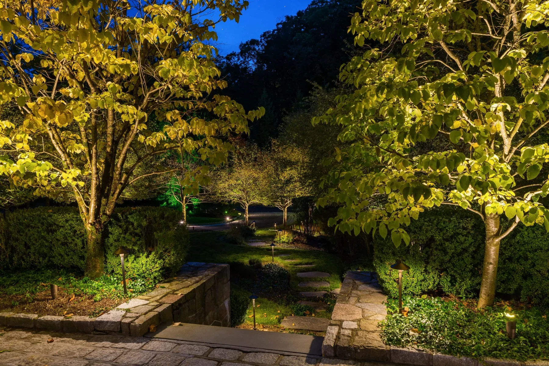 Stone path and pond framed by illuminated trees in a garden at night.