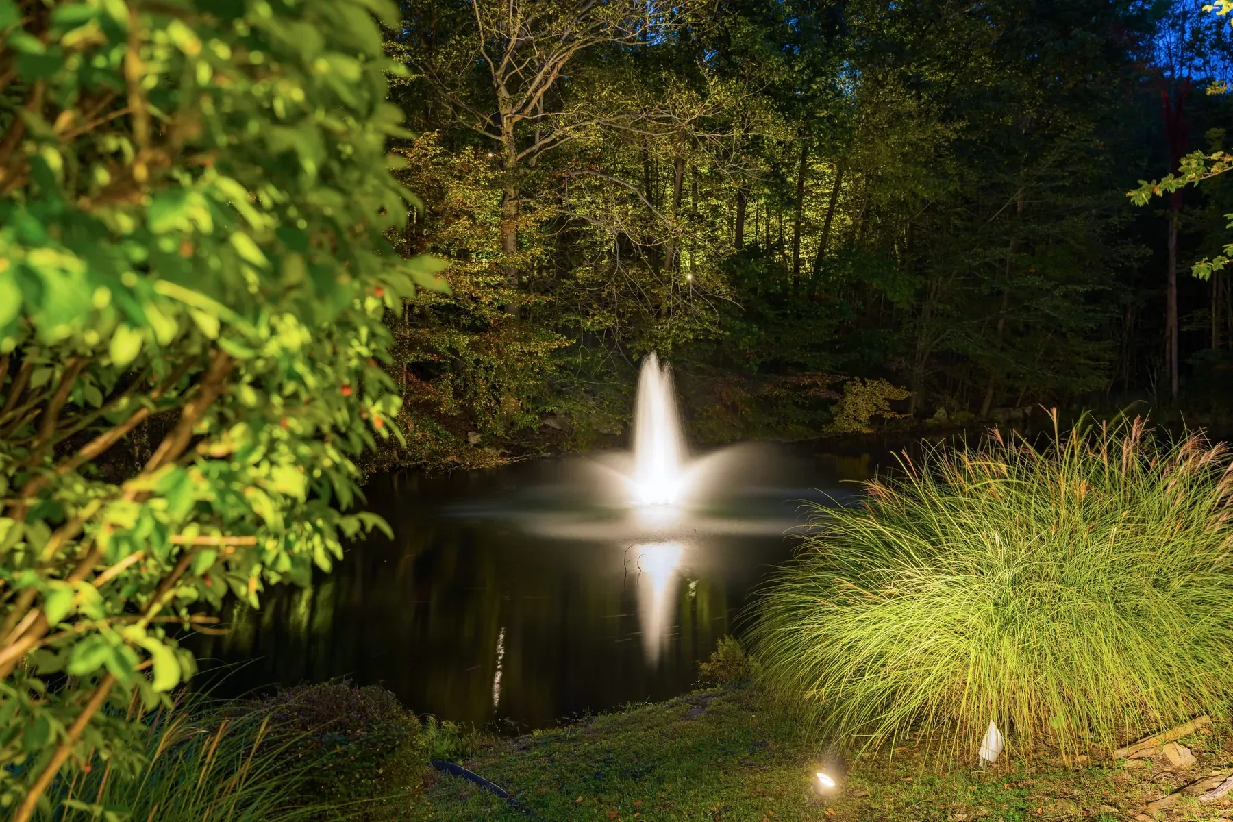 Pond fountain glowing behind softly lit grasses and leafy branches.