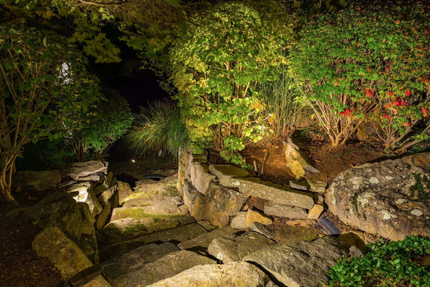 Lighting on rustic stone steps and garden plants after dark.