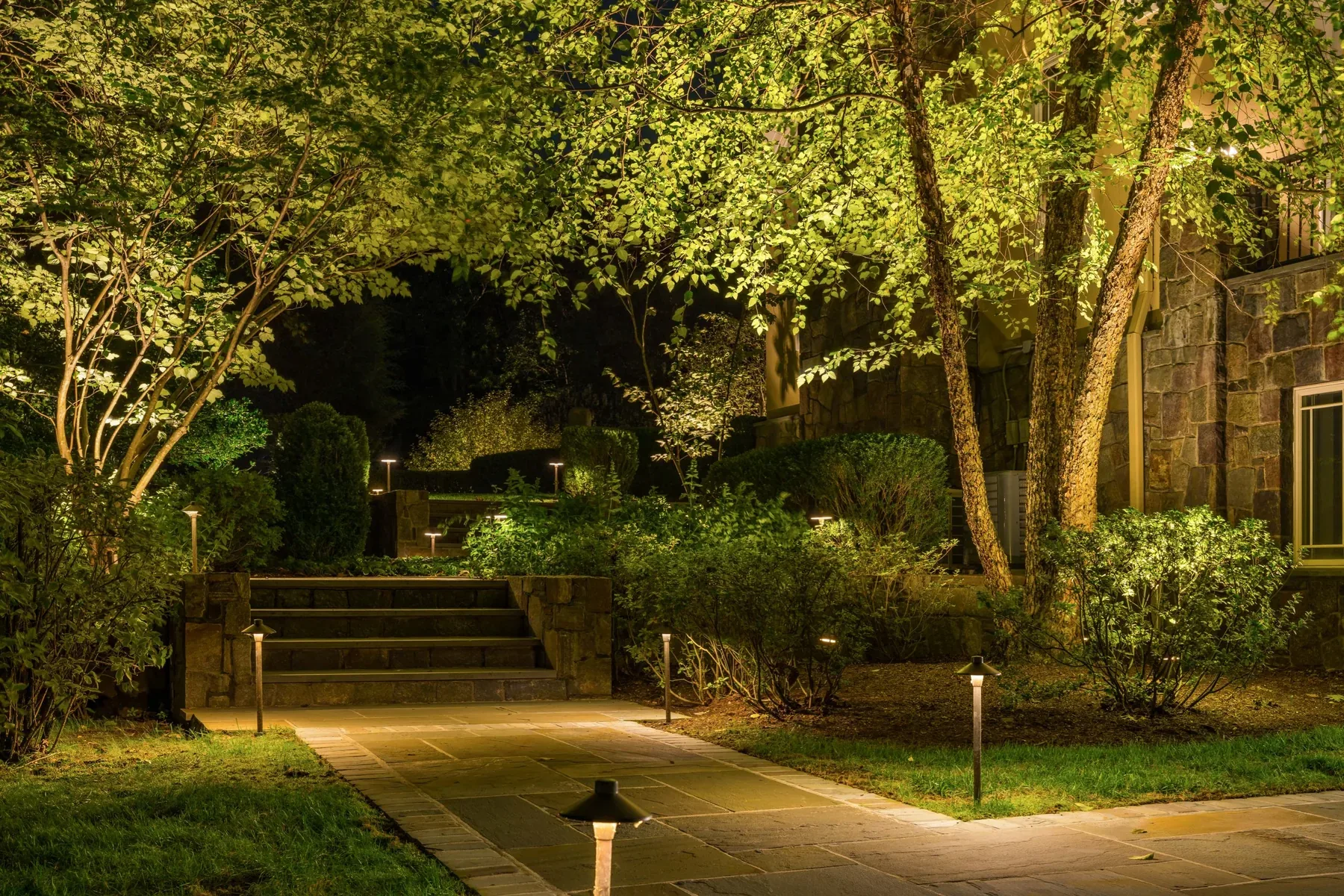 Path lights and illuminated trees around a garden walkway and steps.