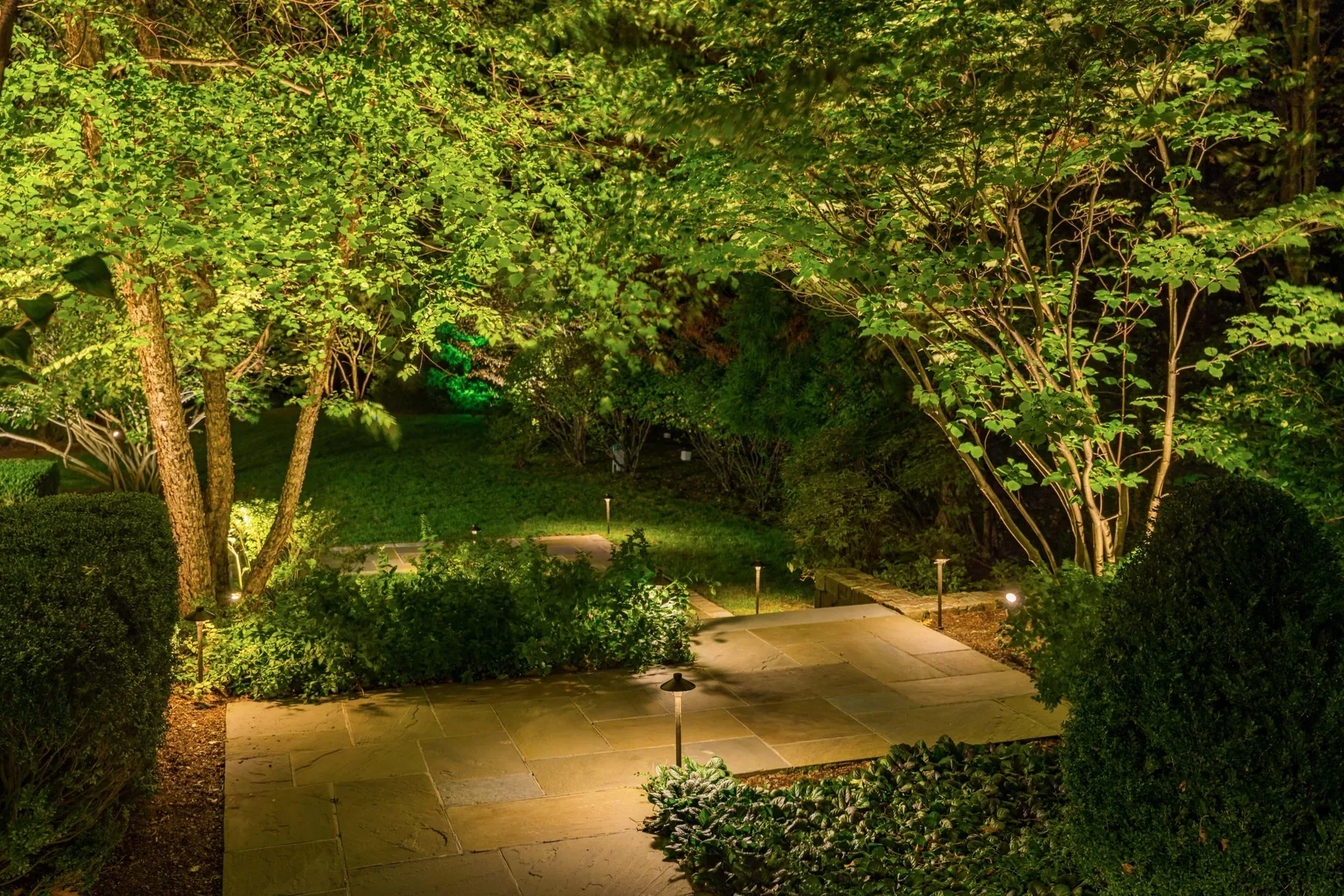 Illuminated stone walkway winding beneath trees and clipped garden hedges.