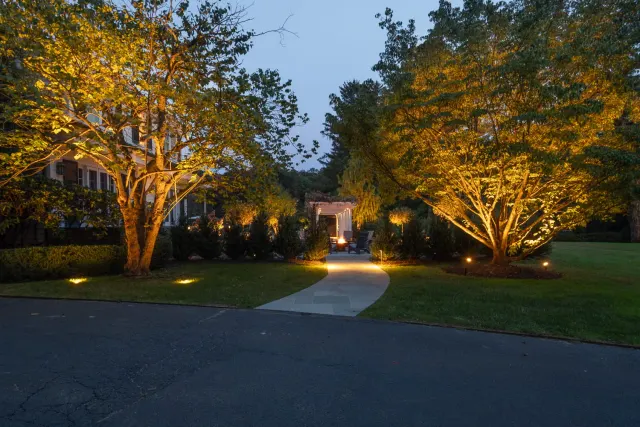 Illuminated trees framing a curved walkway toward a garden pergola.