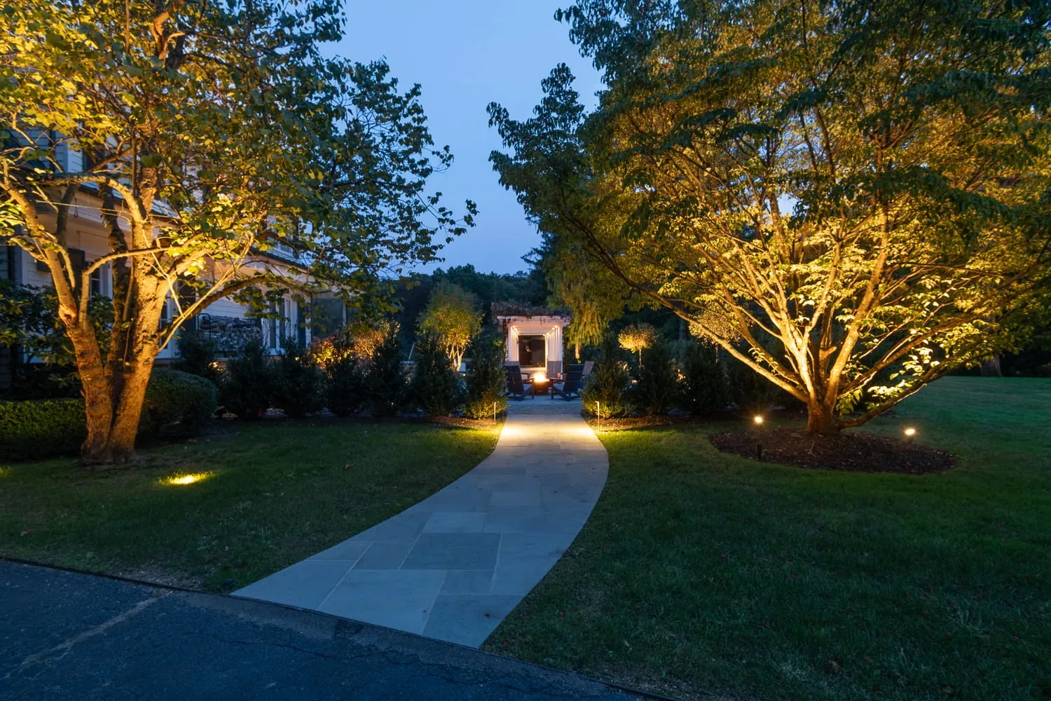 Illuminated trees framing a curved walkway toward a garden pergola.