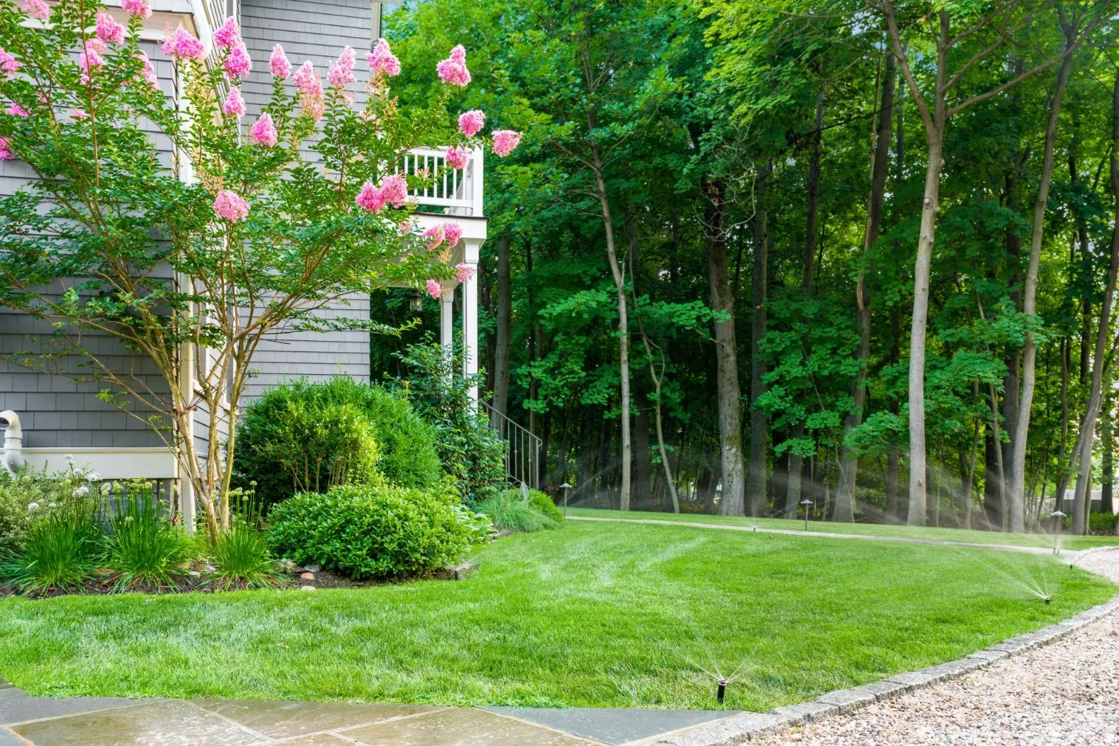 Sprinklers watering a side lawn beneath flowering trees beside a house.